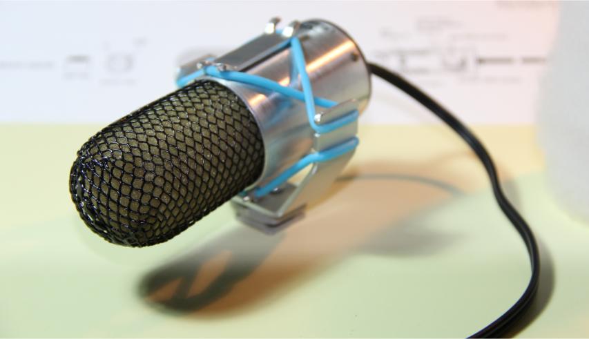 Stereo microphone for camera